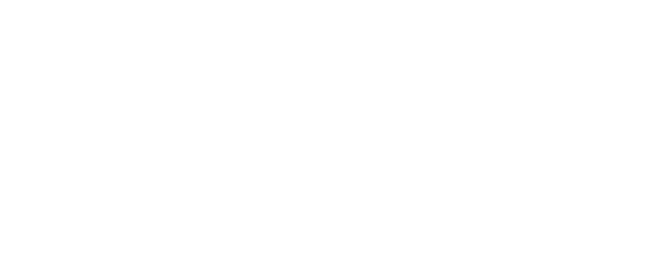 Saadian tombs white logo transparent